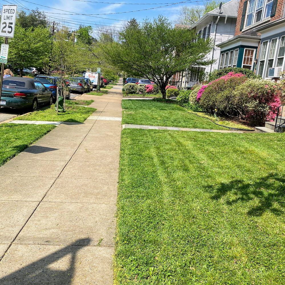 Santos Lawncare Services