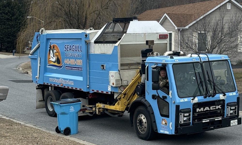 Seagull Disposal