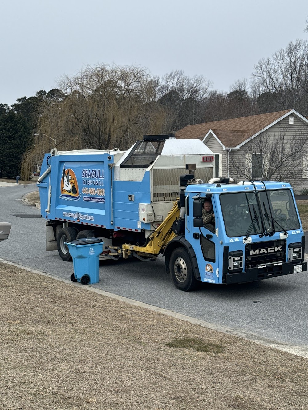 Seagull Disposal