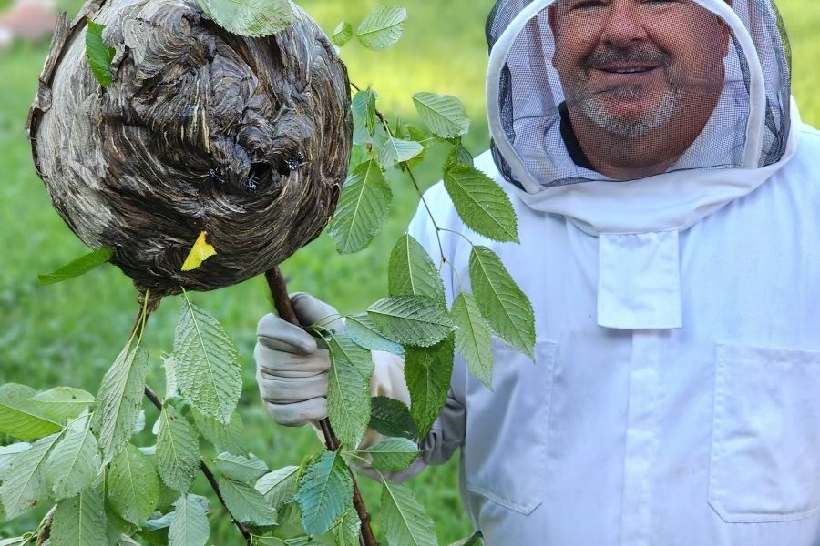 Senate Termite and Pest Control