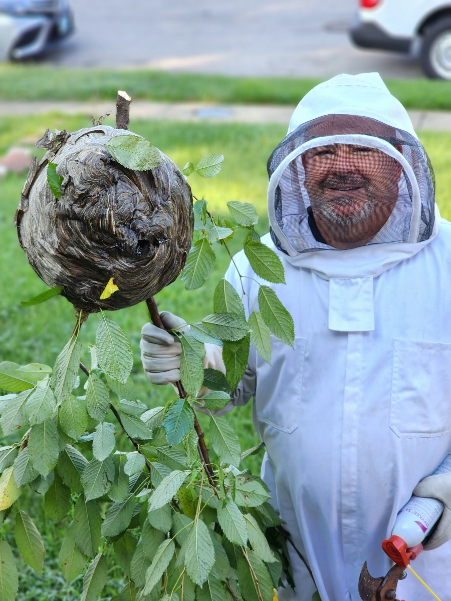 Senate Termite and Pest Control