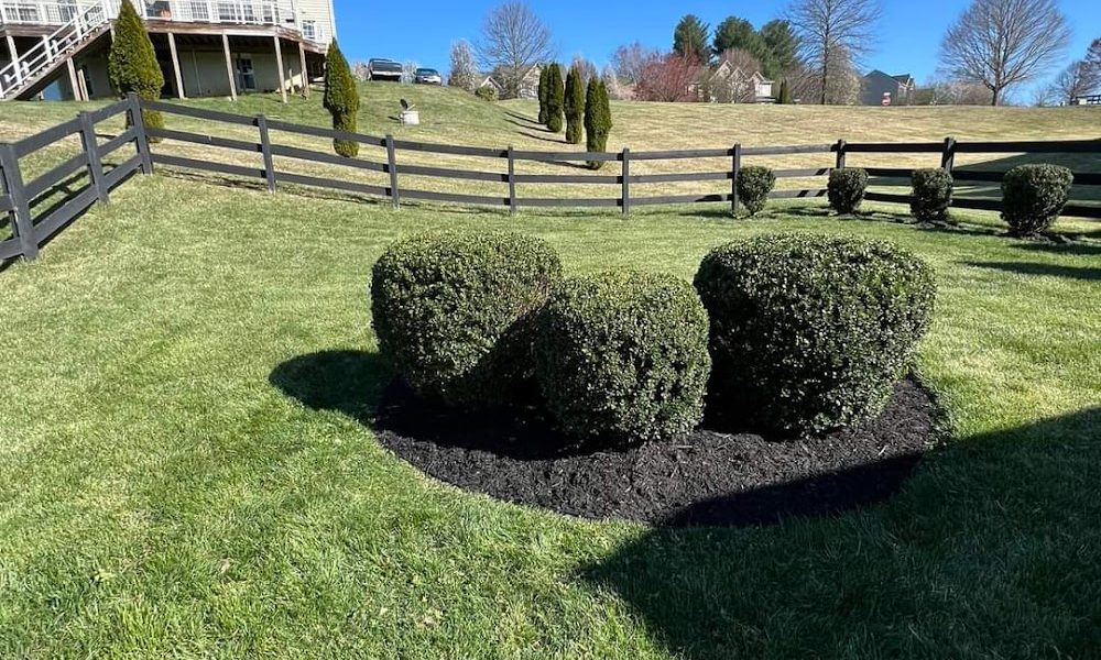 Silver Solutions Lawncare