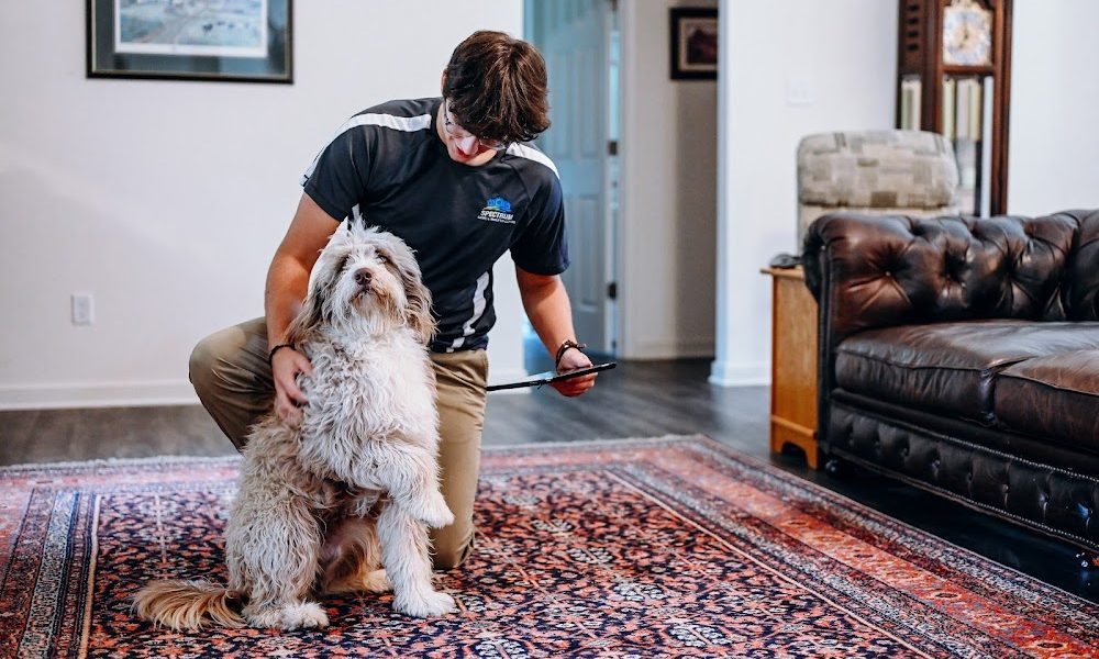 Spectrum Carpet Cleaning & Restoration