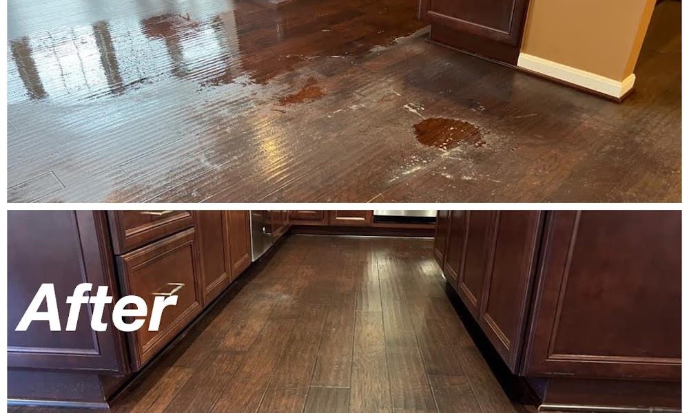 Spotless Carpet Cleaning