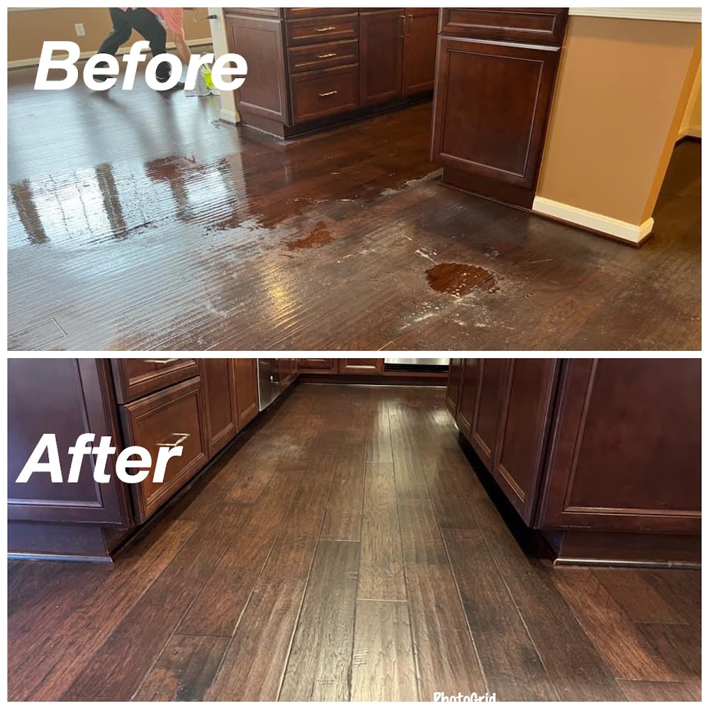 Spotless Carpet Cleaning