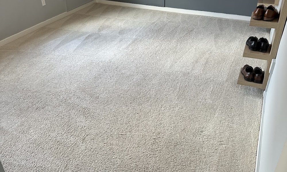 Stress Free Carpet Cleaning