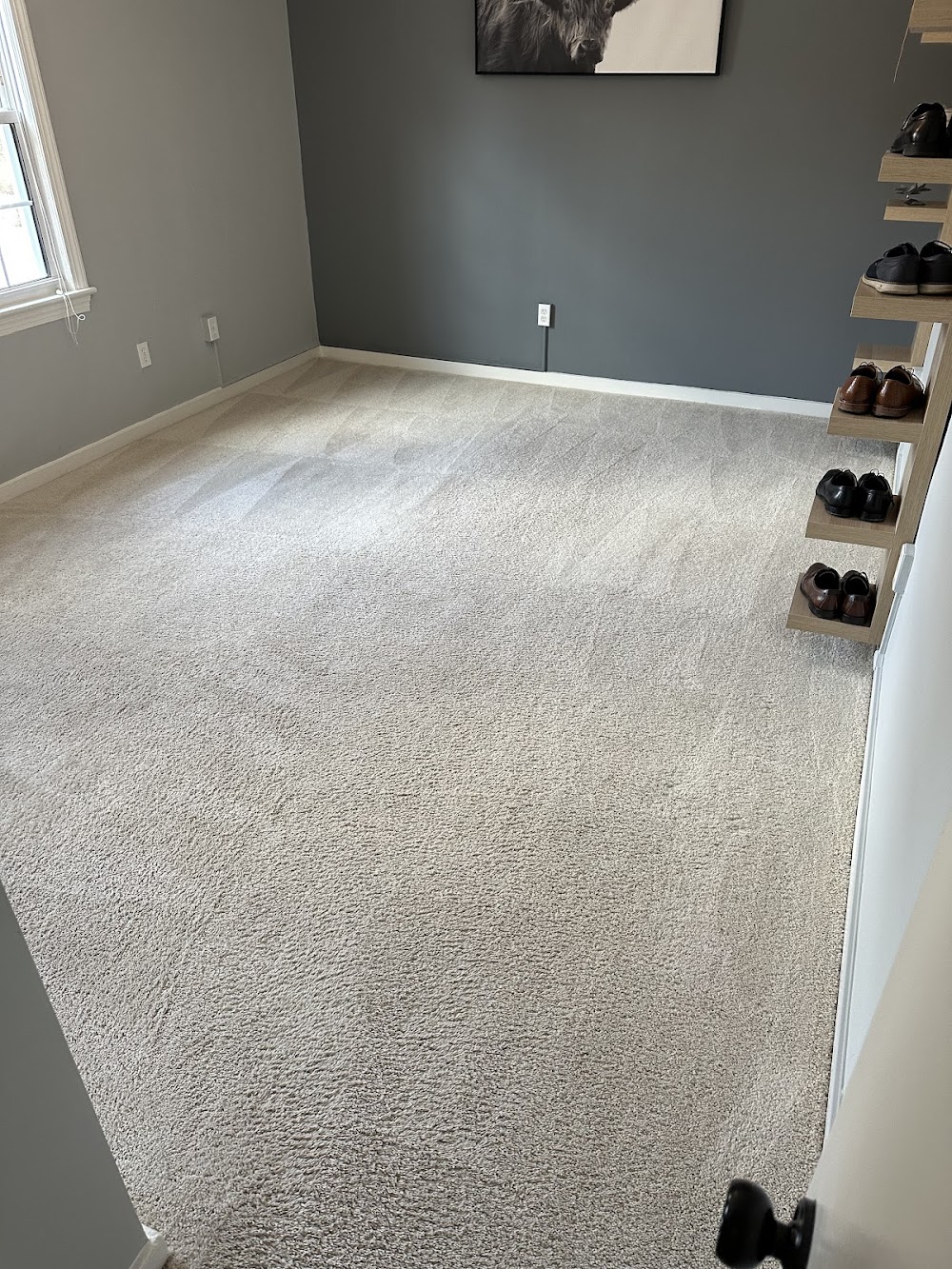 Stress Free Carpet Cleaning