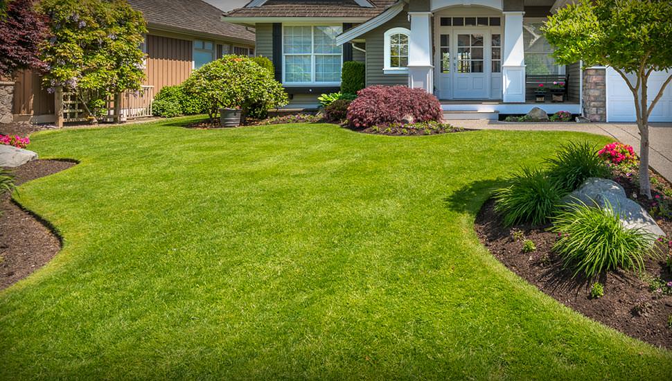 Suburban Lawn Care Service LLC