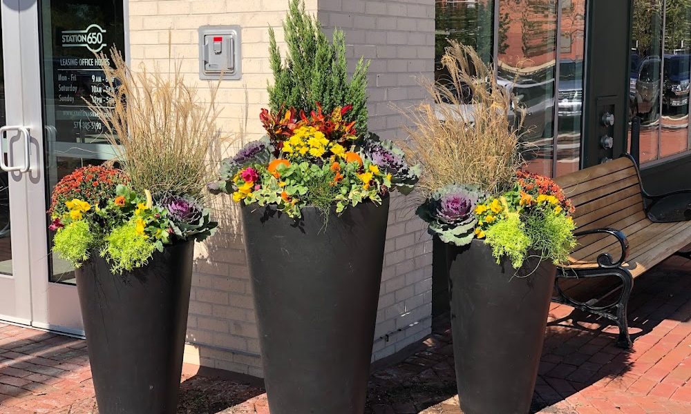 Sundance Lawn & Landscapes