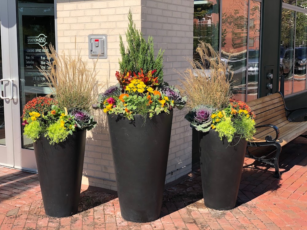 Sundance Lawn & Landscapes