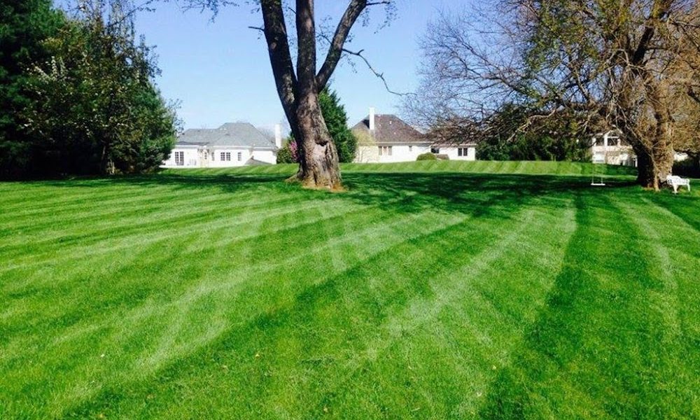 Sunrise Landscaping Corporation