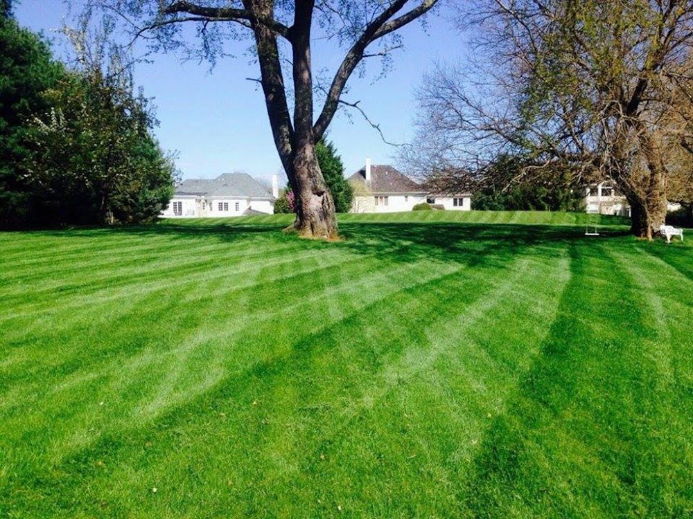 Sunrise Landscaping Corporation