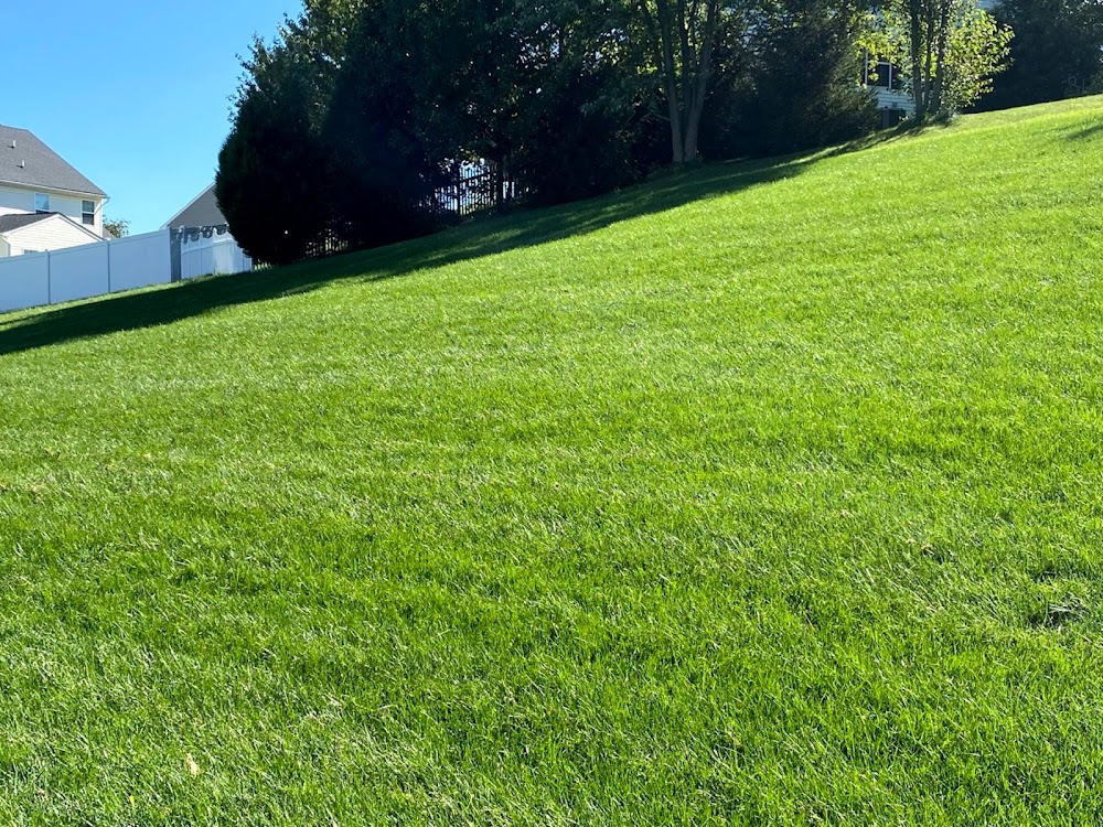 Superior Lawn Management