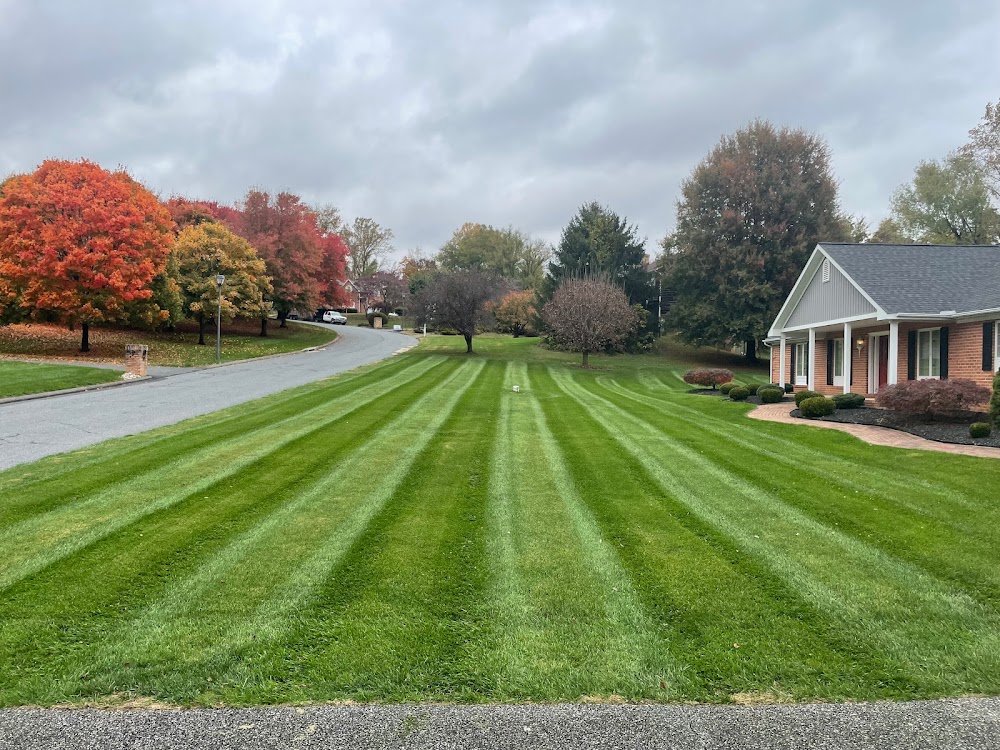 Superior Touch Lawn Care