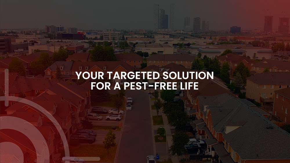 Sure Shot Pest Control