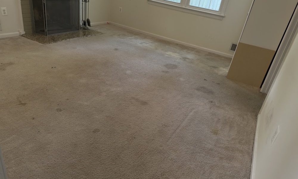 Surplus Carpet Cleaning