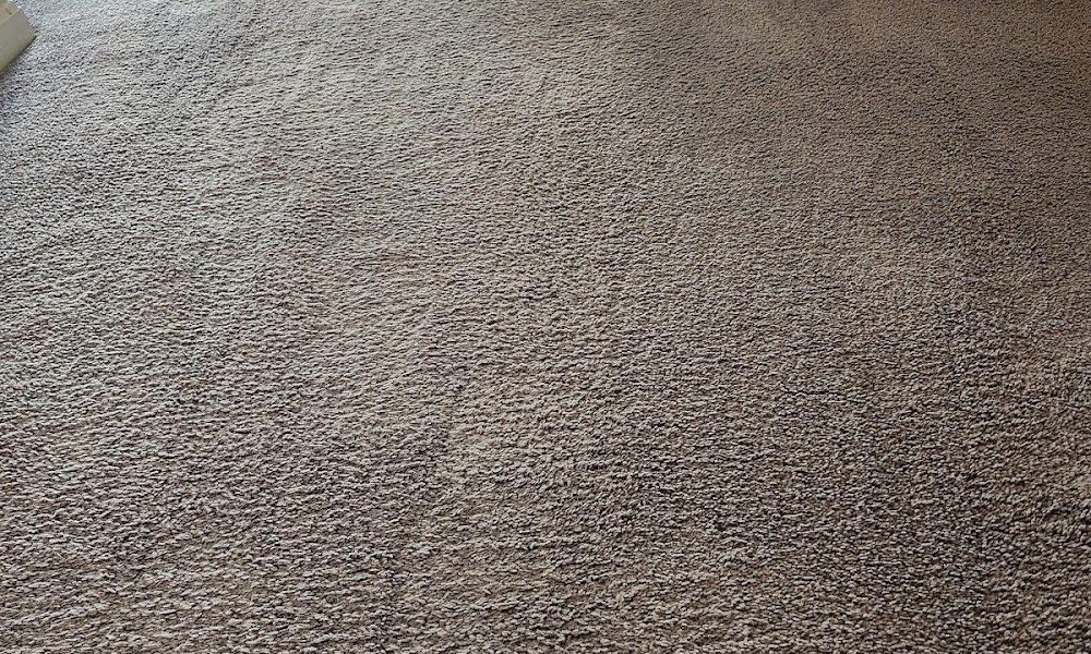 SV Professional Cleaning