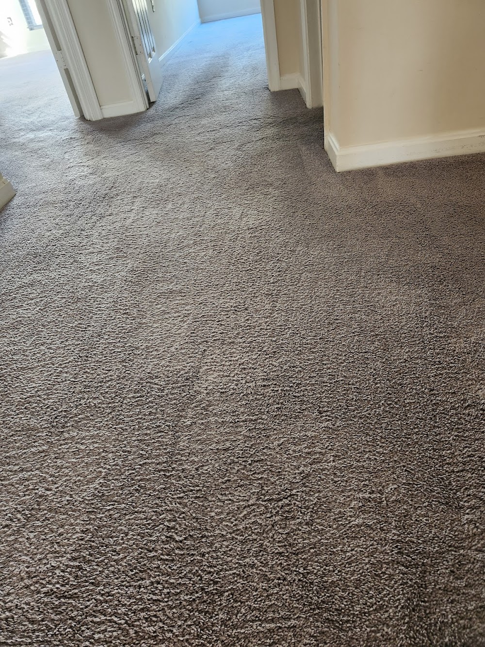 SV Professional Cleaning