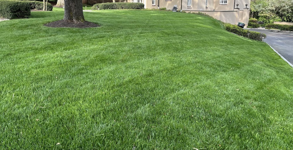 Terra Lawn Care Specialists