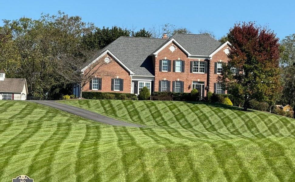 The Blade Lawn Care
