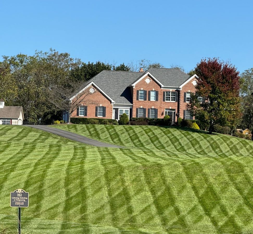 The Blade Lawn Care