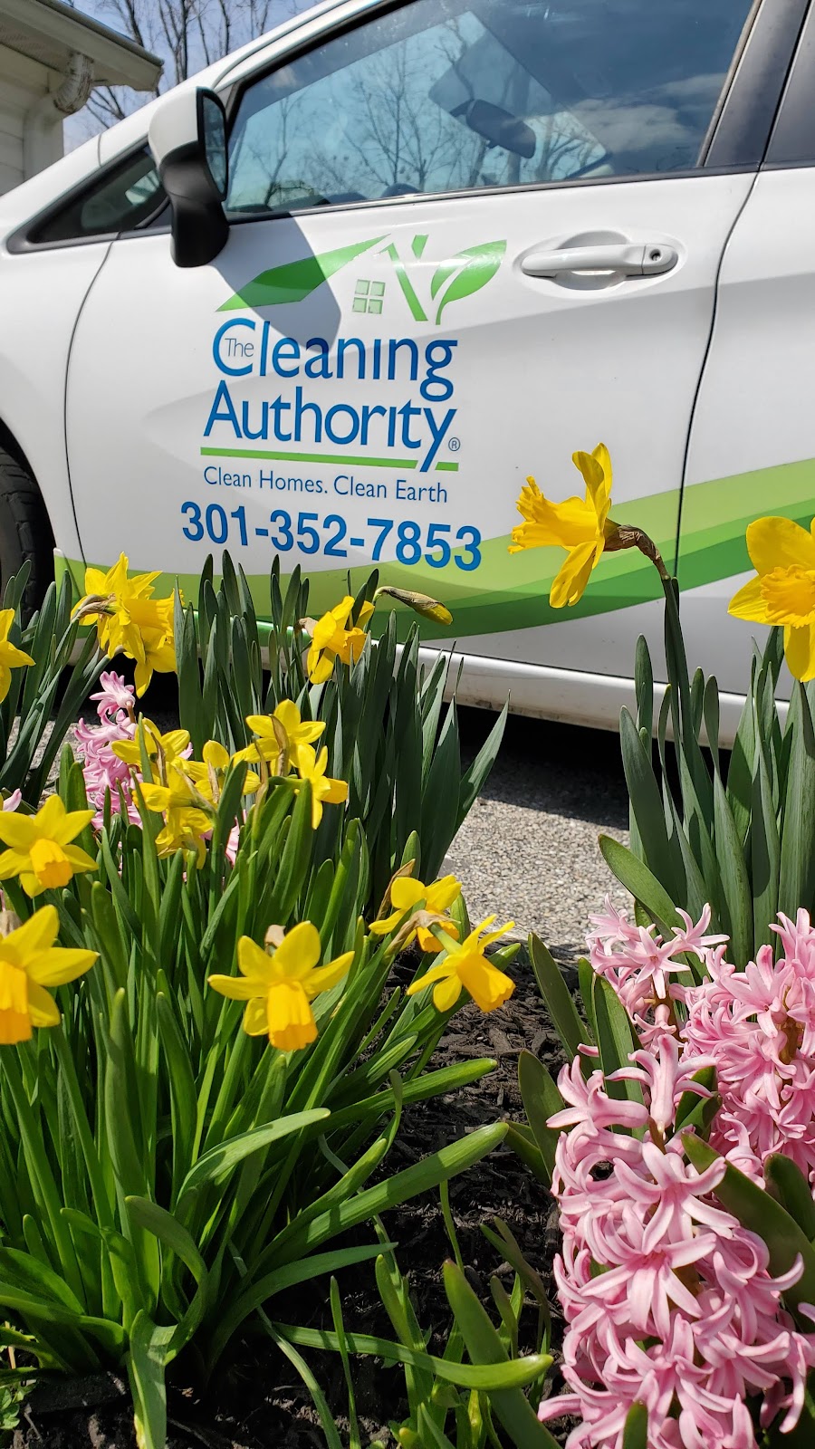 The Cleaning Authority – Bowie