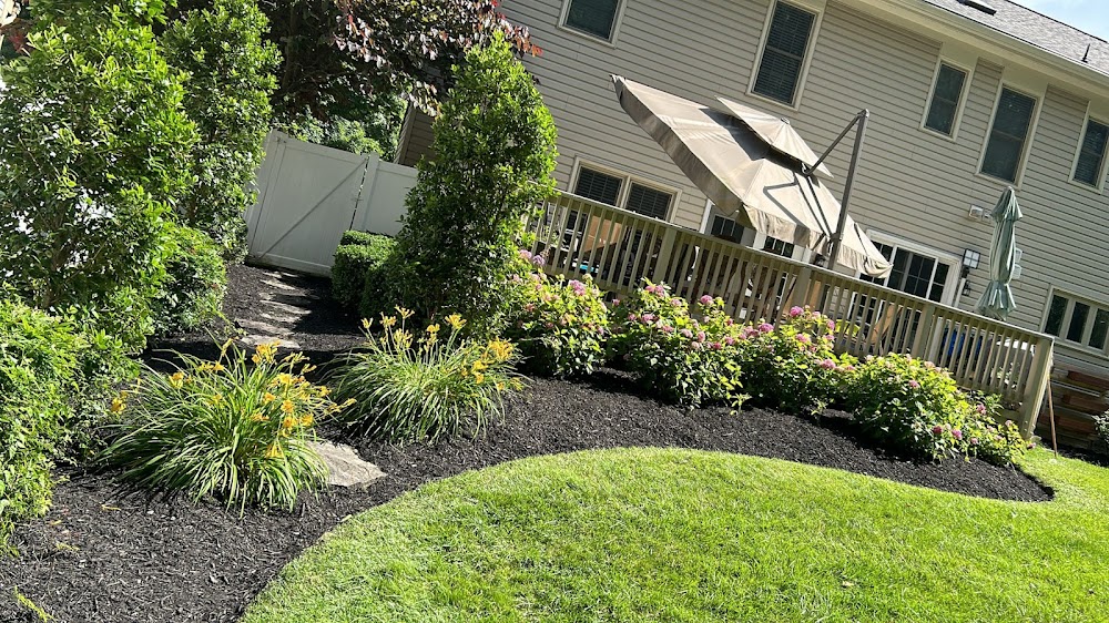 The Top Team Lawn Care