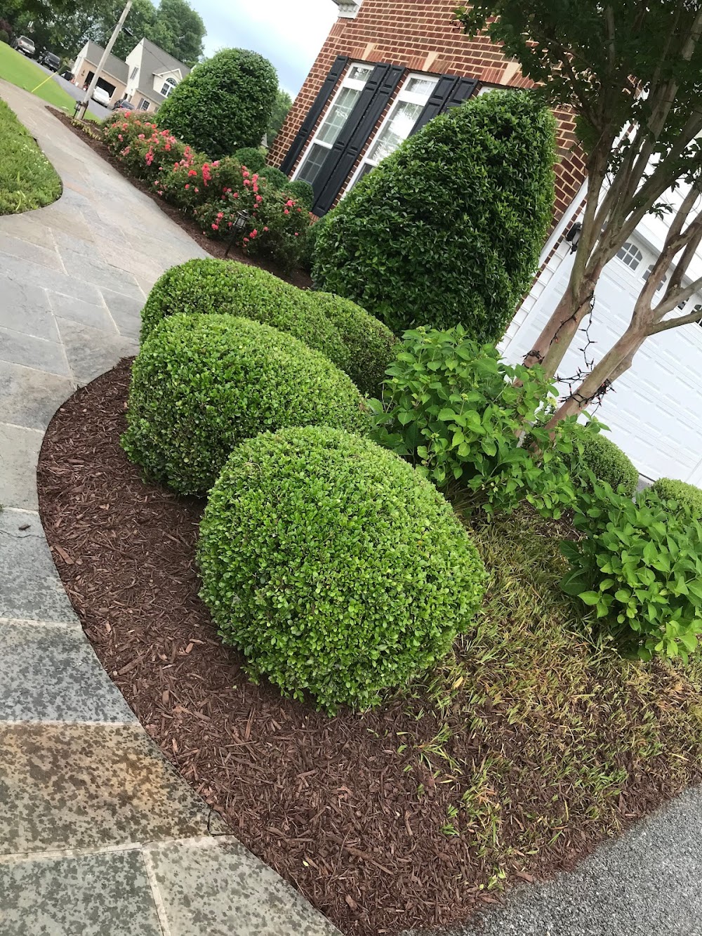 TINO LANDSCAPING LLC