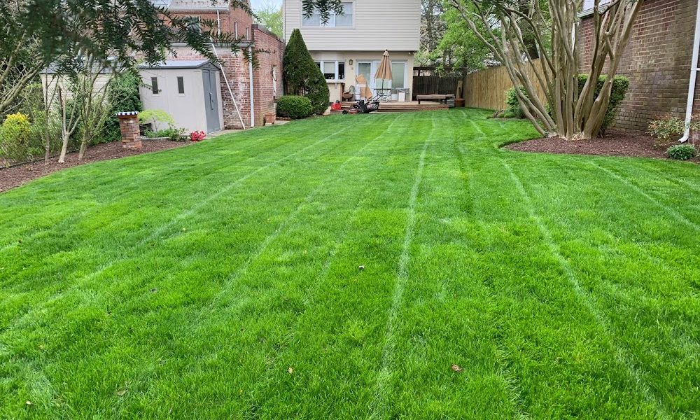 Top Landscaping Company – Hernandez Company