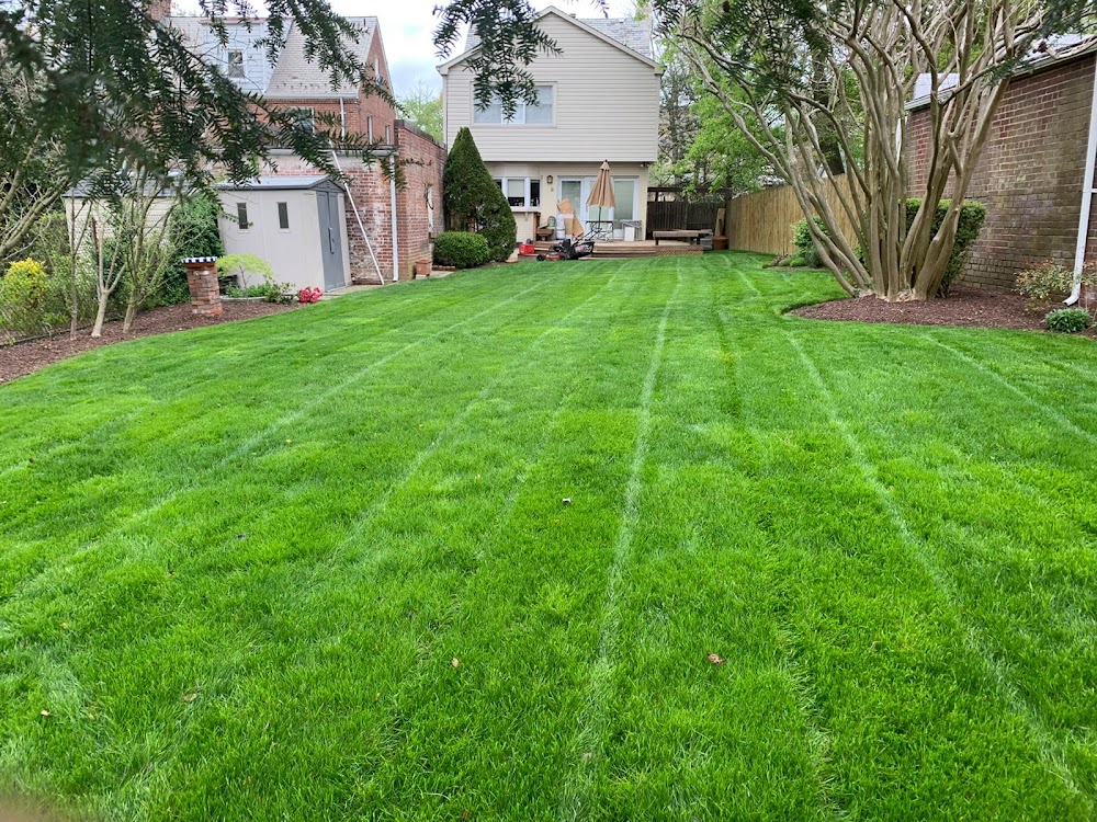 Top Landscaping Company – Hernandez Company
