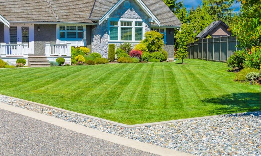 Top Tier Lawn Care