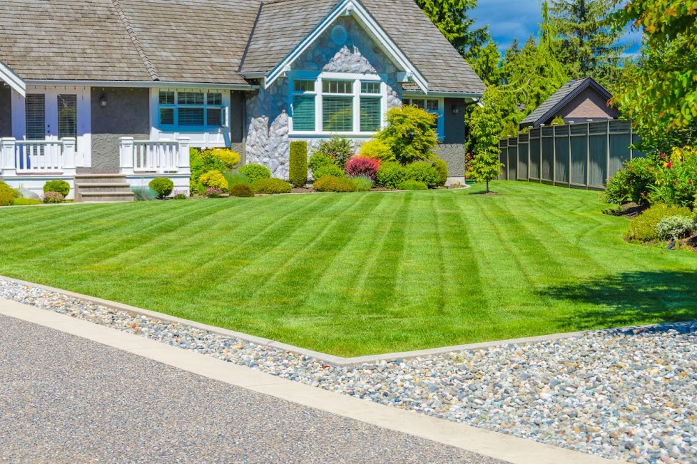 Top Tier Lawn Care