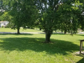 Total Ground Control Handyman Service