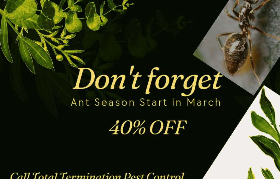 Total Termination Pest Control