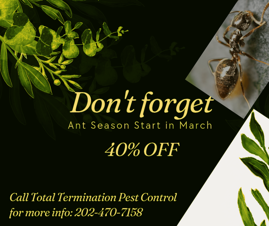 Total Termination Pest Control