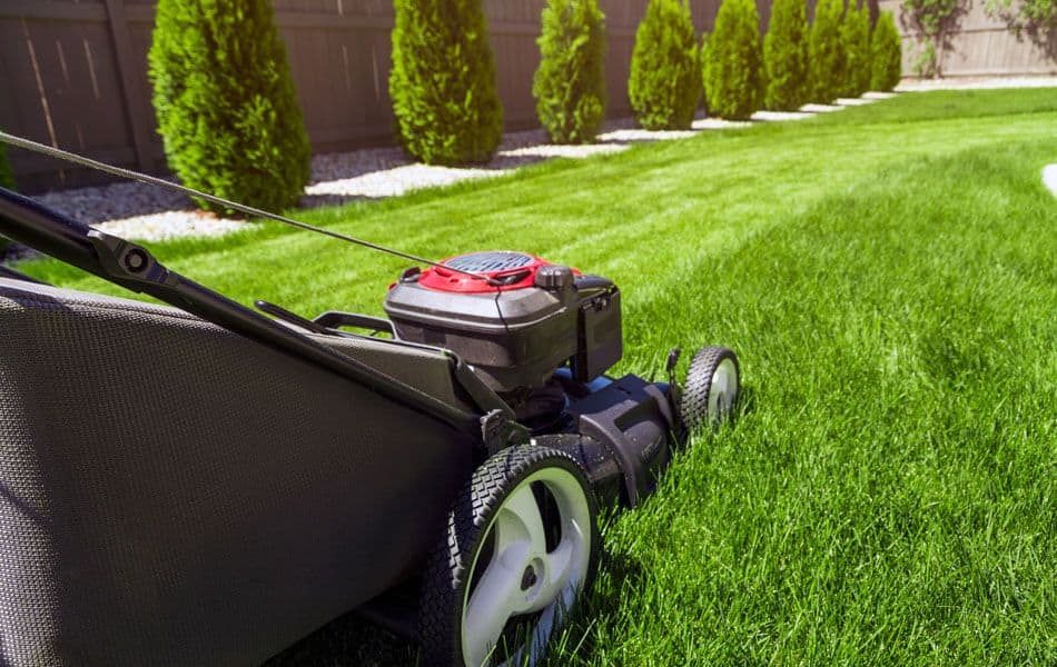 Tru-Green Lawn Care Washington