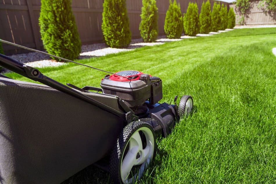 Tru-Green Lawn Care Washington
