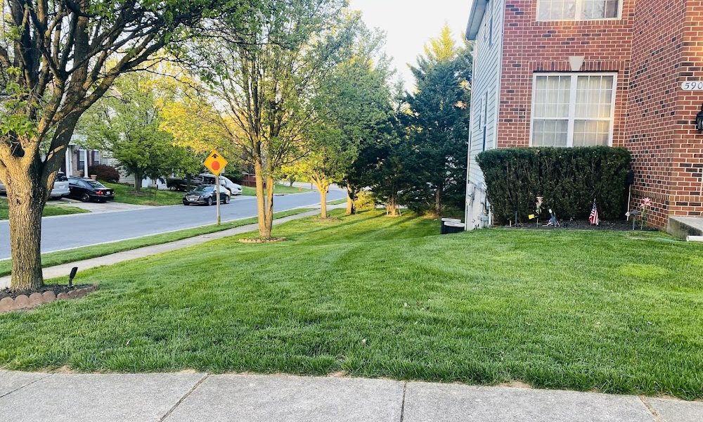 TruGreen Lawn Care