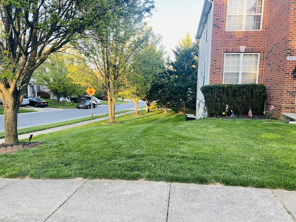 TruGreen Lawn Care