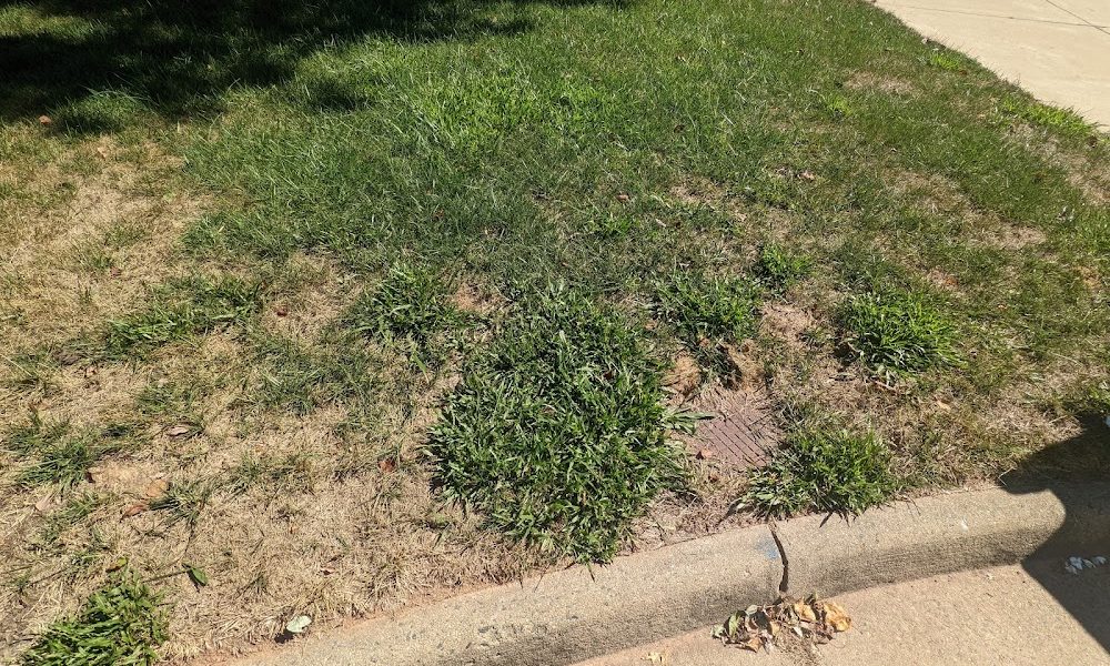 TruGreen Lawn Care