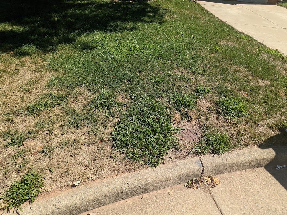 TruGreen Lawn Care