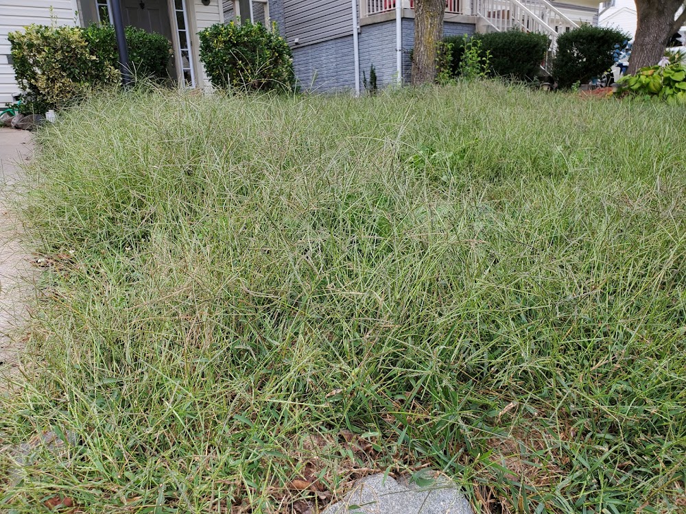 TruGreen Lawn Care