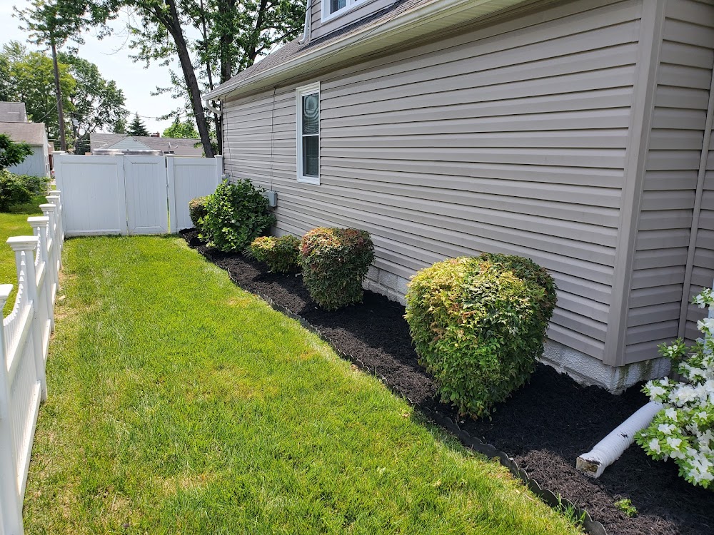 T&S Lawn Care