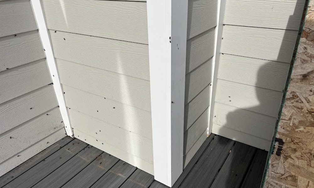 Turbo Pest Control – Stafford VA