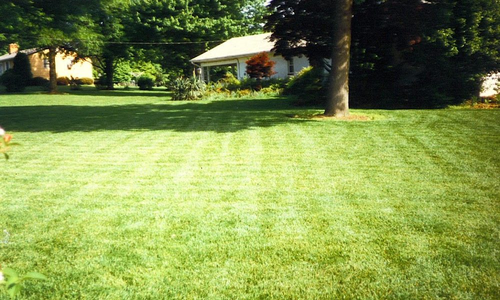 Turf Center Lawns, Inc.