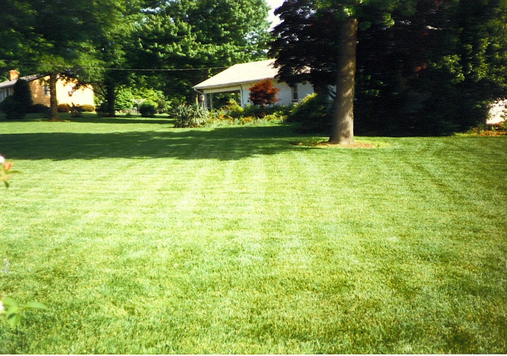 Turf Center Lawns, Inc.