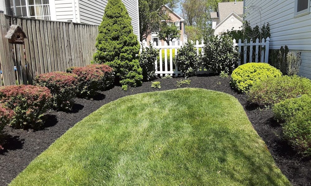 Turf Doc Landscaping