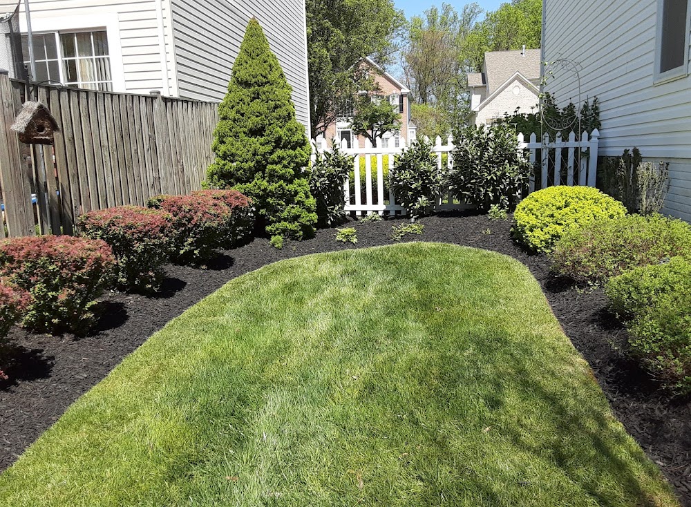Turf Doc Landscaping
