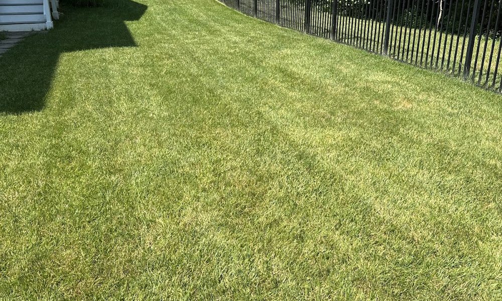 Turf Medic LLC