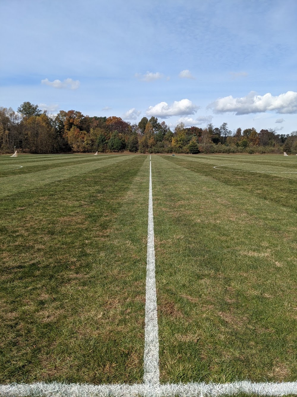 Turf Painter – Field Management Service